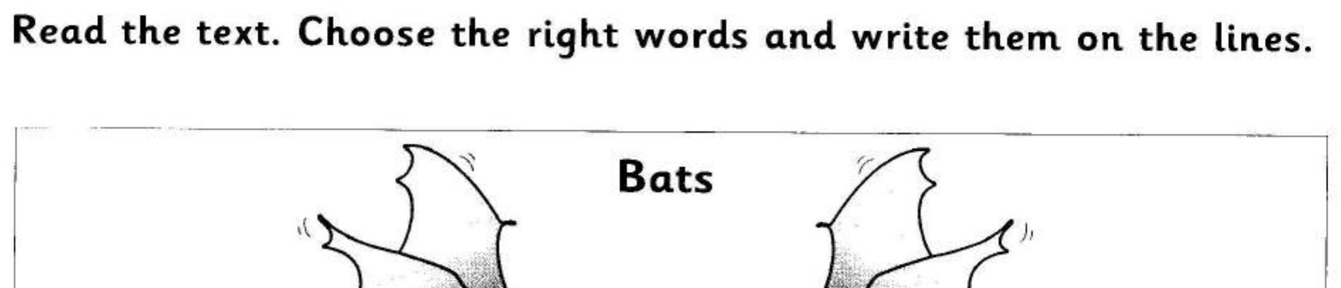 Two bats