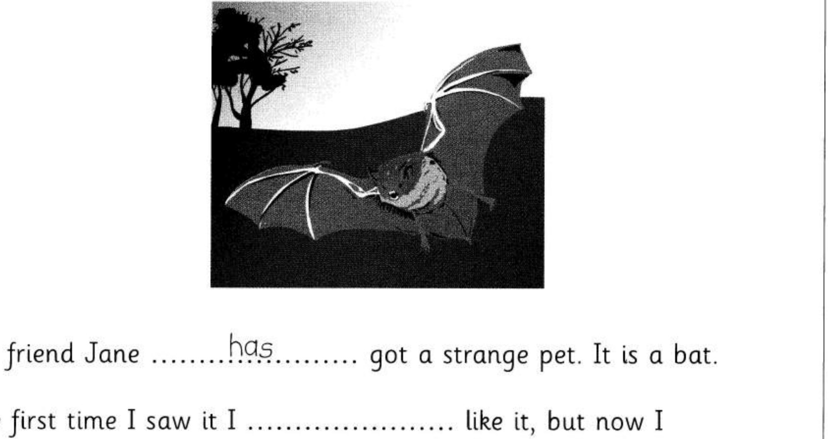 A bat flying at night