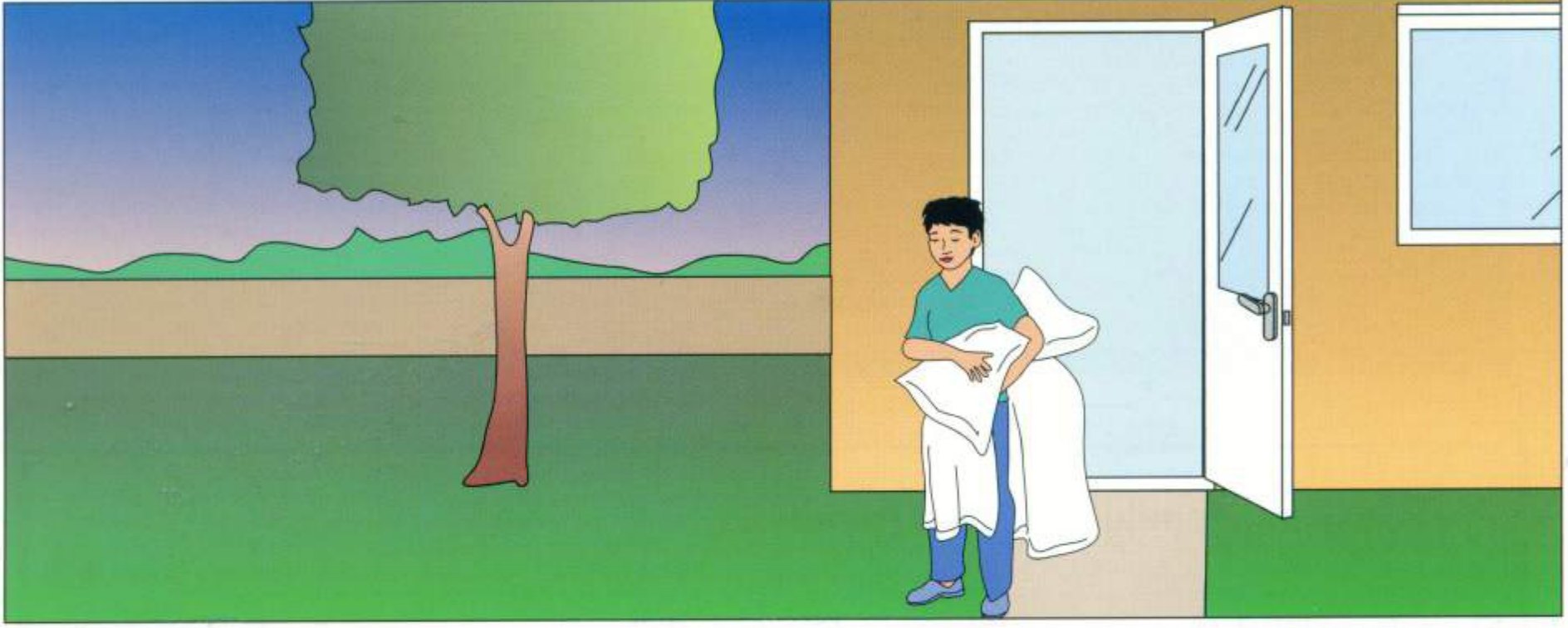 A boy in a garden