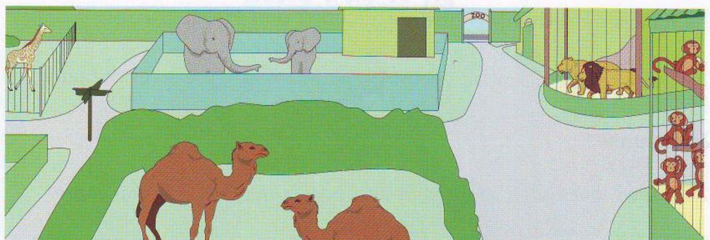 A zoo with animals
