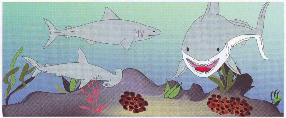 Three sharks swimming underwater