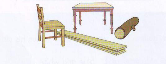 Wood: a chair, a table and a log