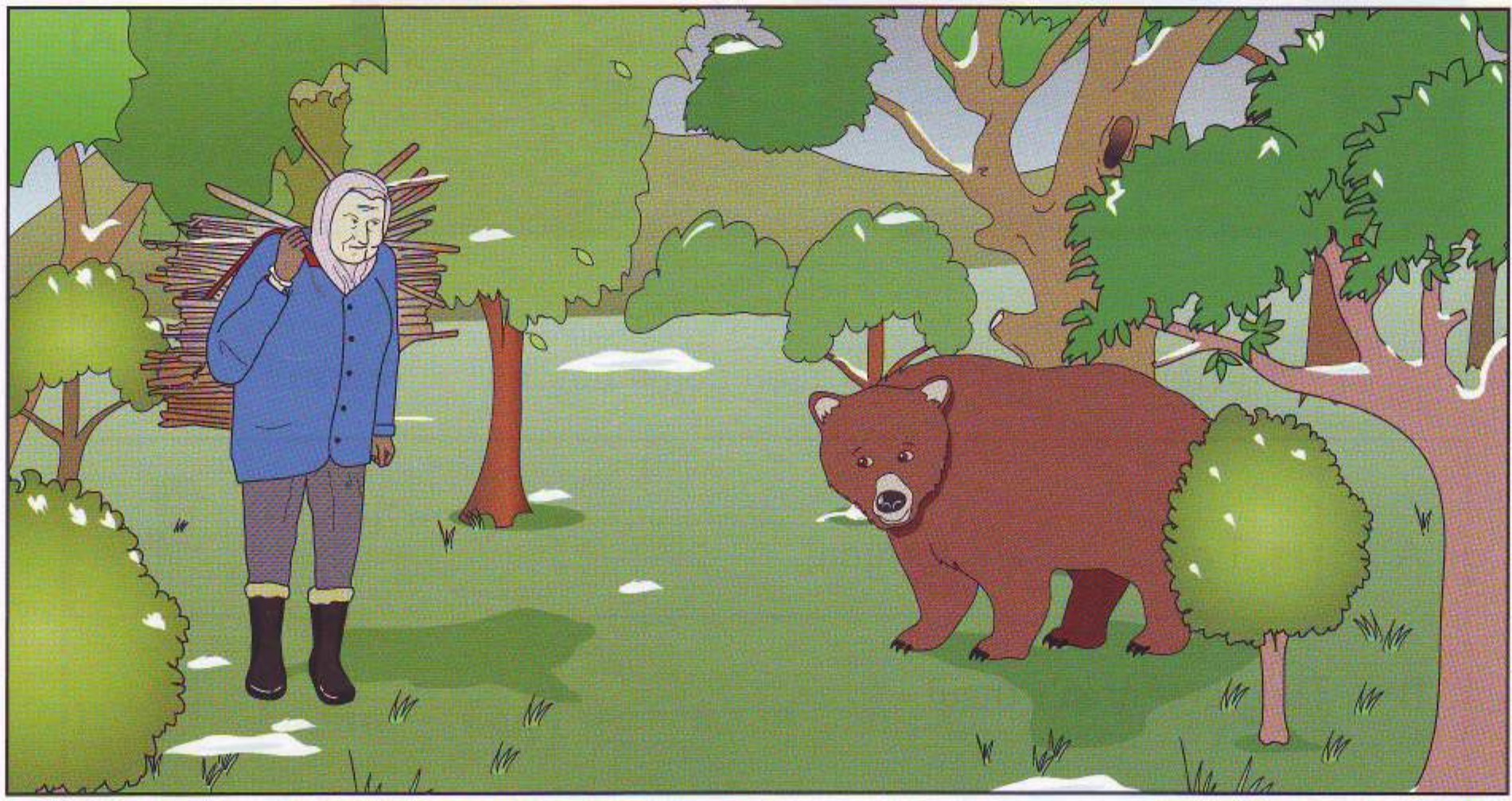 A forest with a brown bear