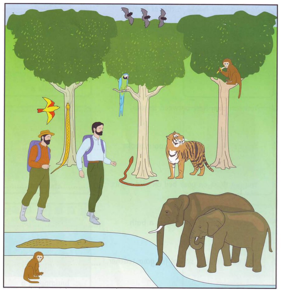 Part 2 scene: animals in a jungle