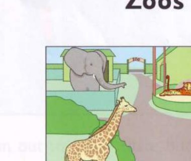 A zoo