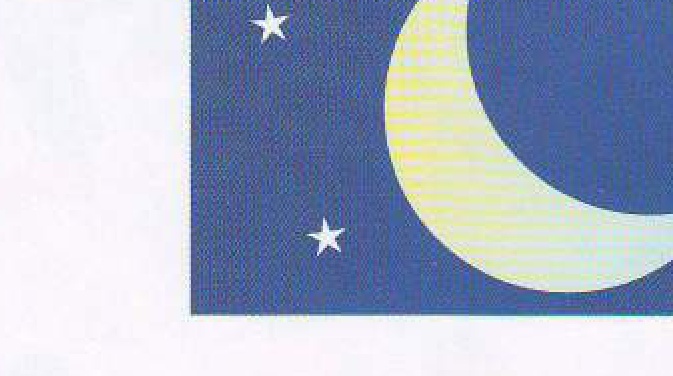 The moon