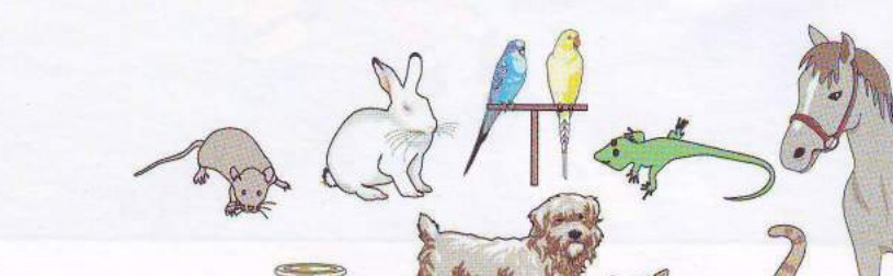 Different pets