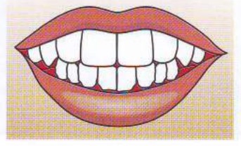 Teeth