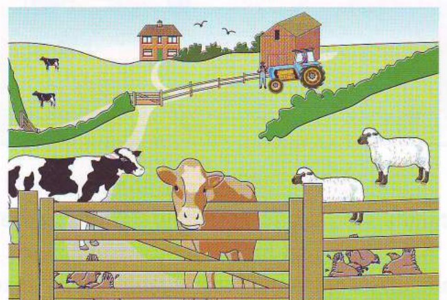 A farm