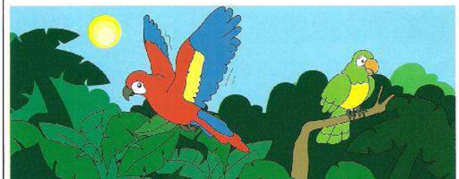 Two parrots in a jungle