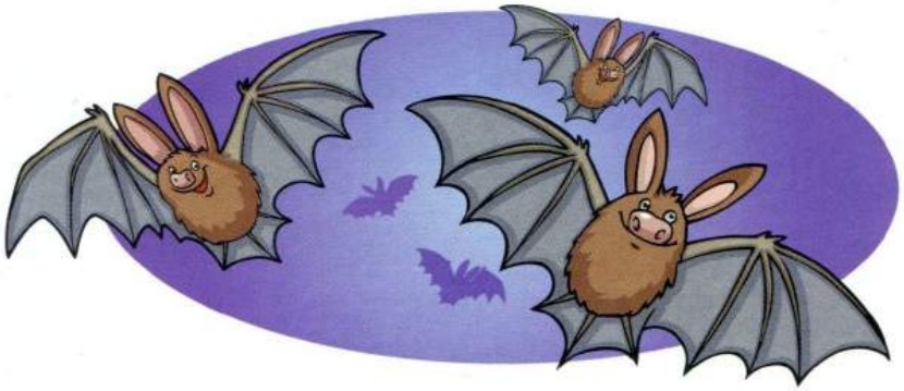 A bat flying