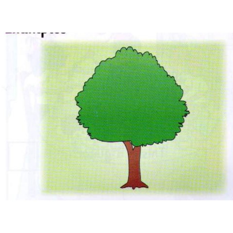 Example 1: tree