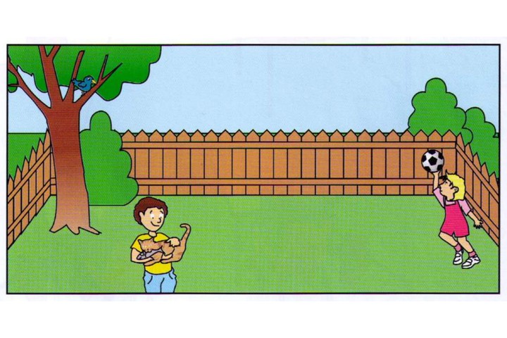 Garden scene C: boy with cat, bird in tree