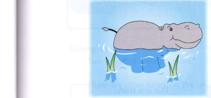 Example 2: hippo
