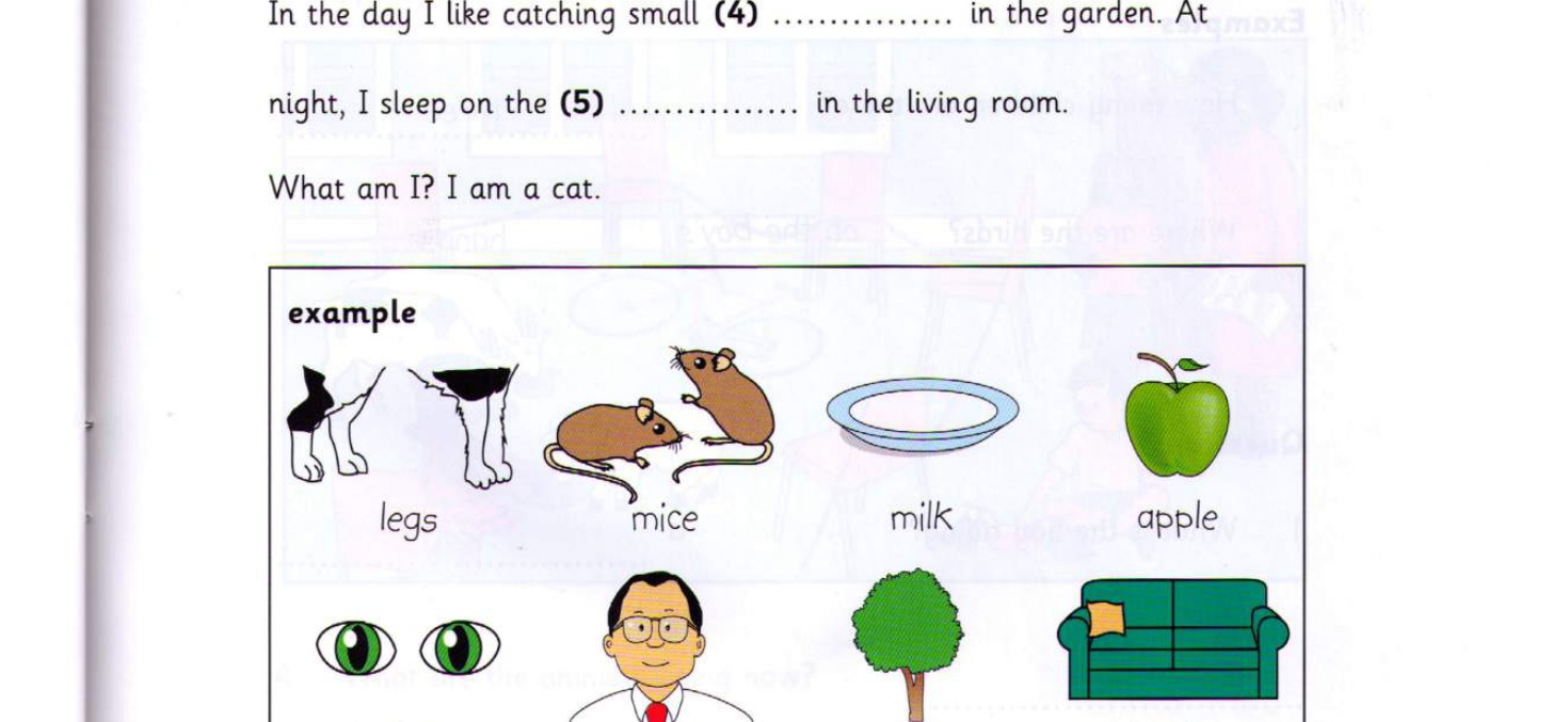 Word bank for Part 4