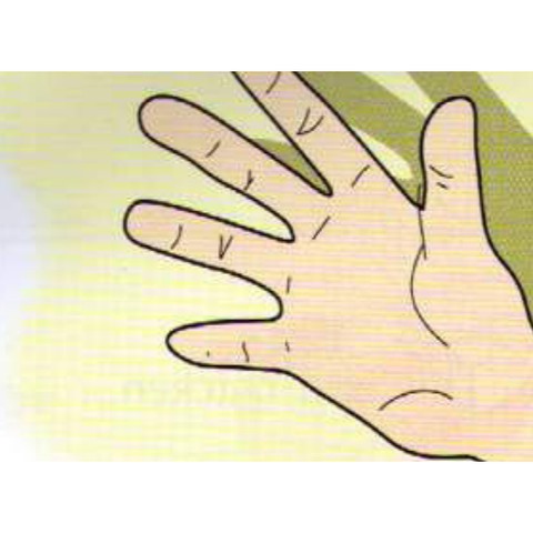 Example 1: hand
