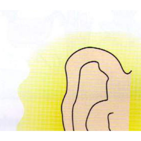 Example 2: ear