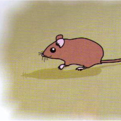 Example 1: mouse