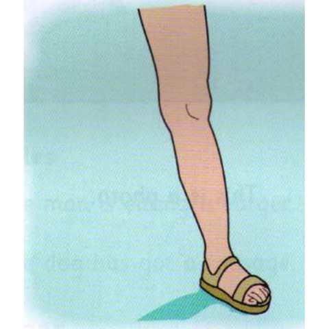 Example 2: leg