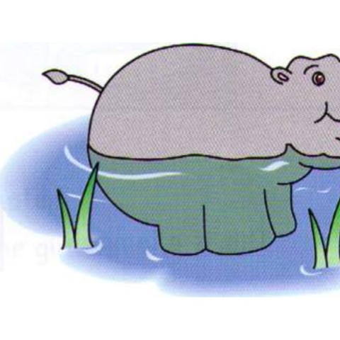 Example 2: hippo
