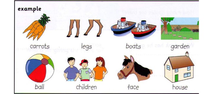Word bank: carrots, legs, boats, garden, ball, children, face, house
