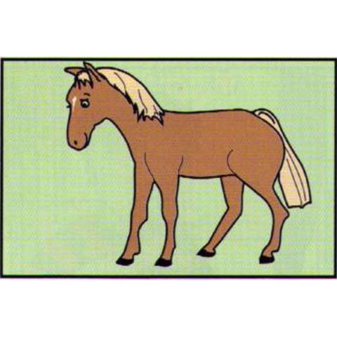 A horse