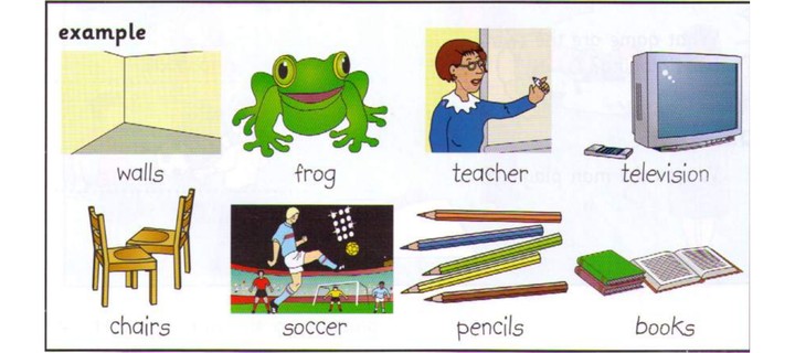Word bank: walls, frog, teacher, television, chairs, soccer, pencils, books