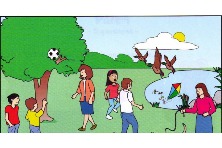 Scene B: a park, a ball in a tree