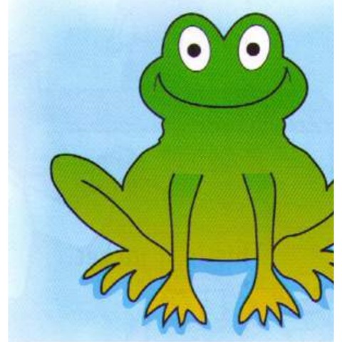 Example 1: frog