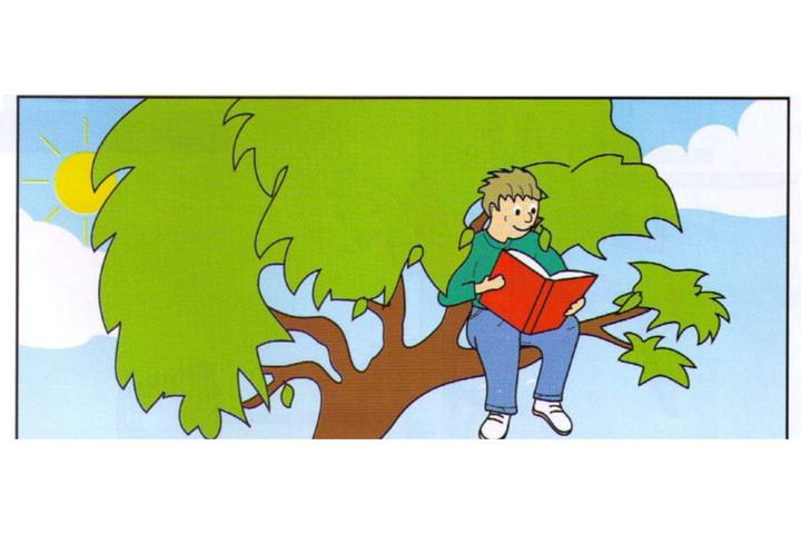 Scene C: a boy reading in a tree