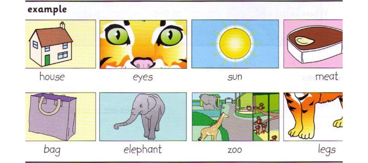 Word bank: house, eyes, sun, meat, bag, elephant, zoo, legs