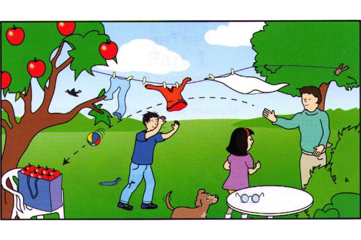 Scene B: a garden, a man and a dog