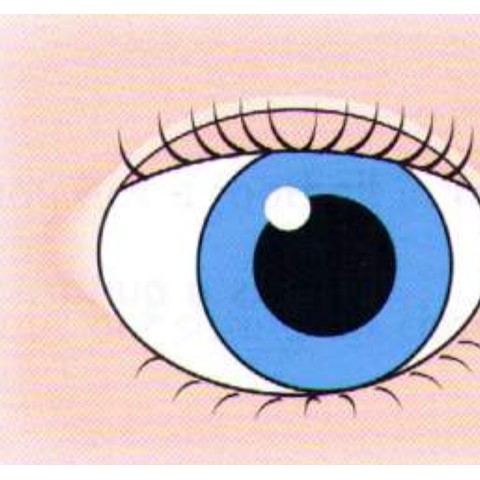Example 2: eye