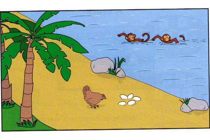 Scene A: a beach, a hen with eggs, monkeys swimming