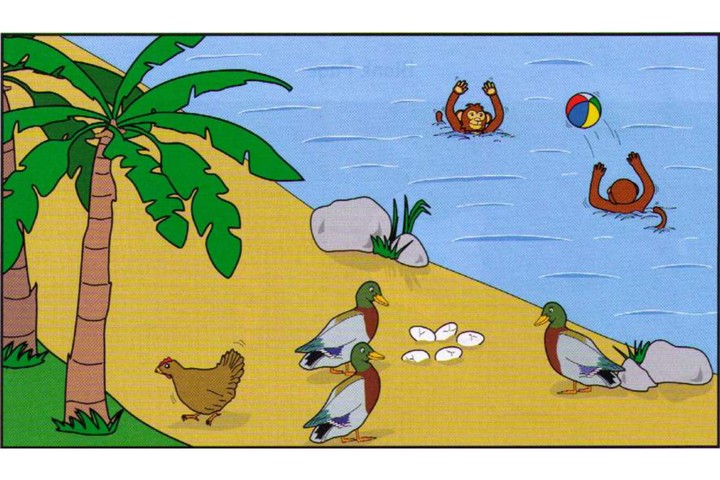 Scene B: a beach, ducks and a ball