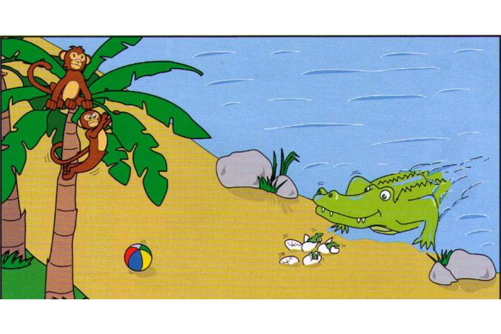 Scene C: a beach, a crocodile in the water