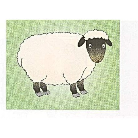 Example 1: sheep