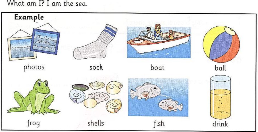 Word bank: photos, sock, boat, ball, frog, shells, fish, drink