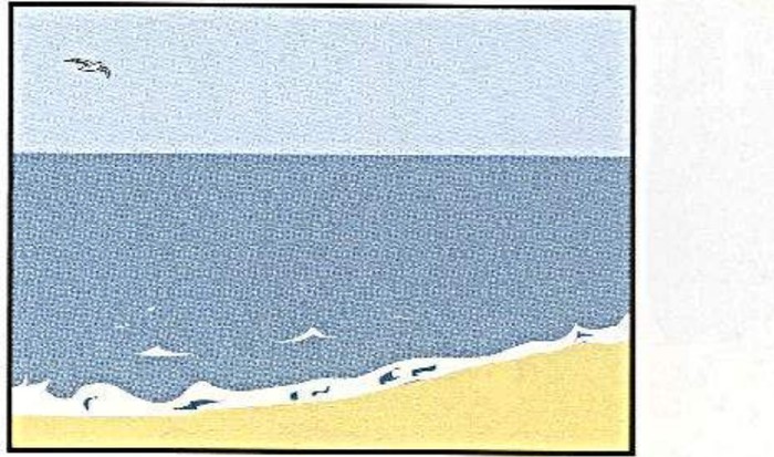 The sea