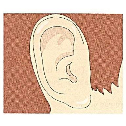 Example 2: ear