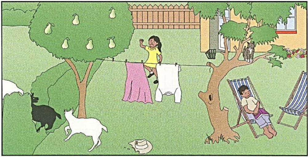 Garden scene C: who is angry, boy now
