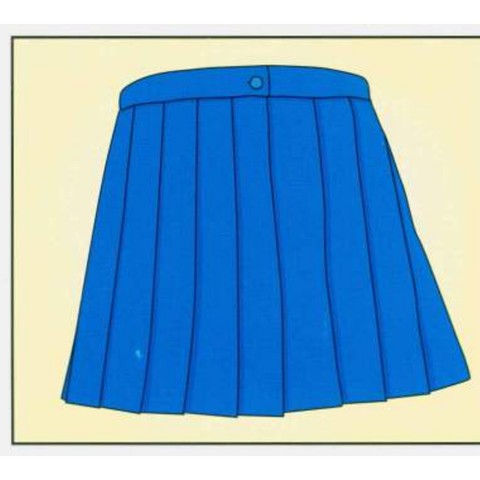 Example 1: skirt