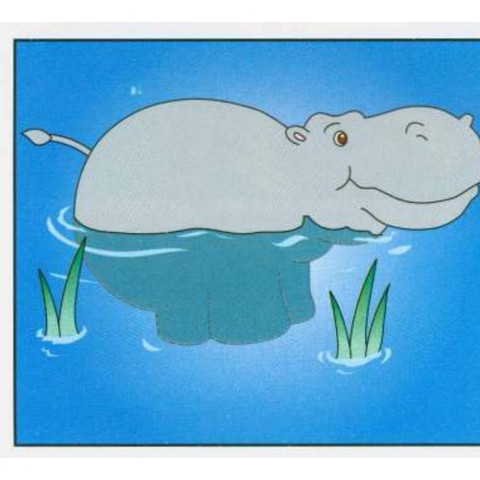 Example 2: hippo