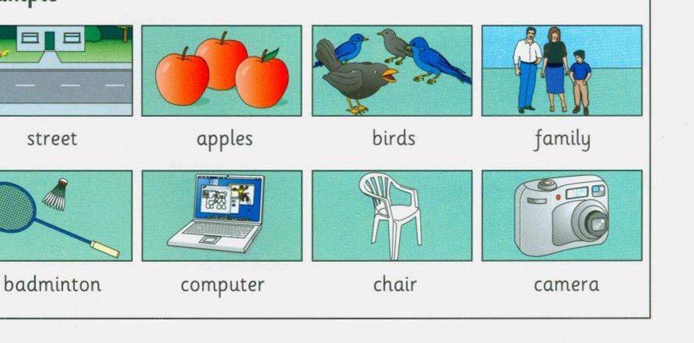 Word bank: street, apples, birds, family, badminton, computer, chair, camera