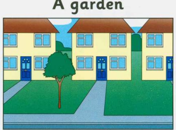 A garden