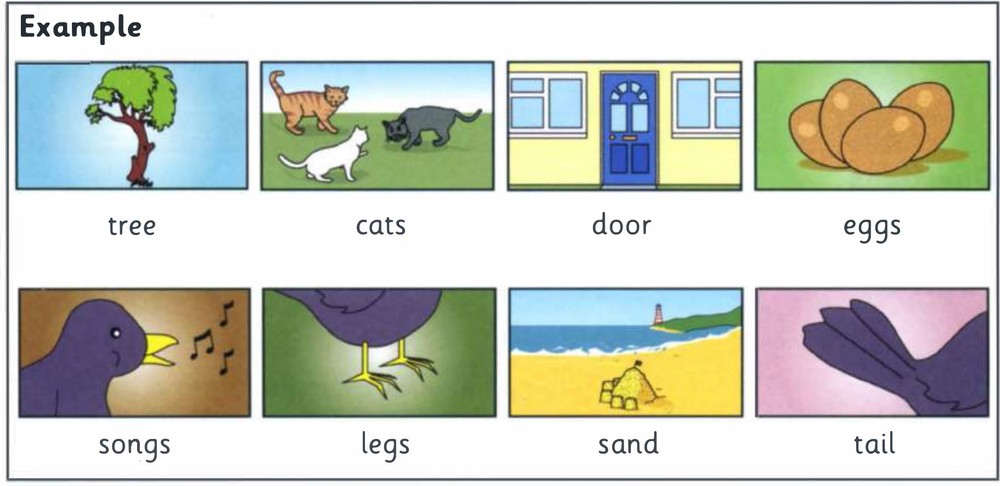 Word bank: tree, cats, door, eggs, songs, legs, sand, tail