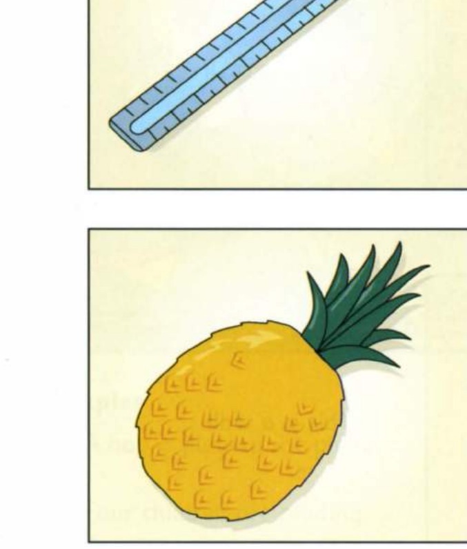 Example 2: pineapple