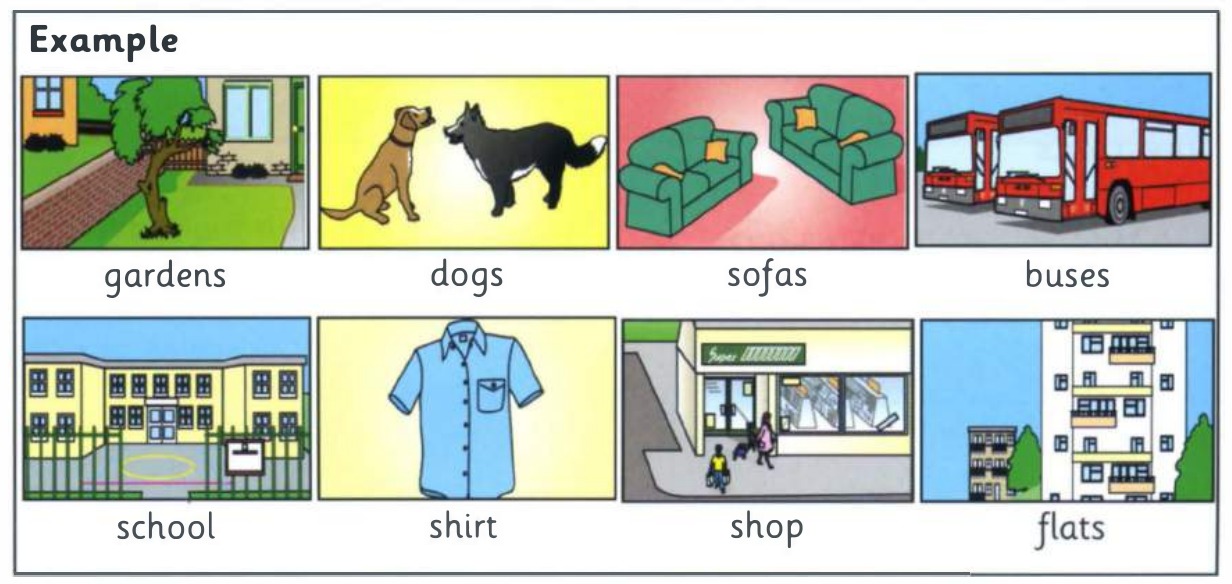 Word bank: gardens, dogs, sofas, buses, school, shirt, shop, flats