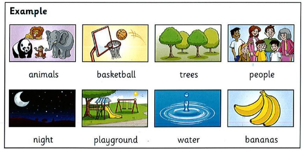 Word bank: animals, basketball, trees, people, night, playground, water, bananas