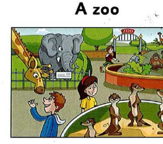 a zoo